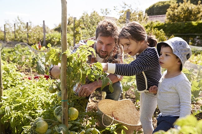 Potager en famille : quelles sont les vertus du jardinage avec les enfants ?