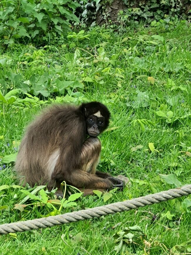 zoo amiens soigneur d'un jour