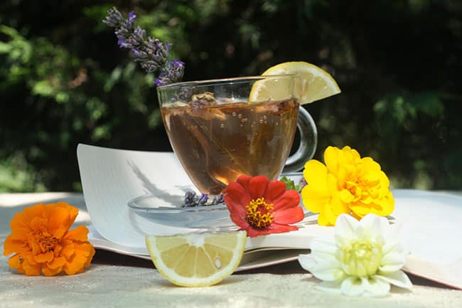 Le thé blanc, un goût unique pour éveiller vos papilles - MaFamilleZen
