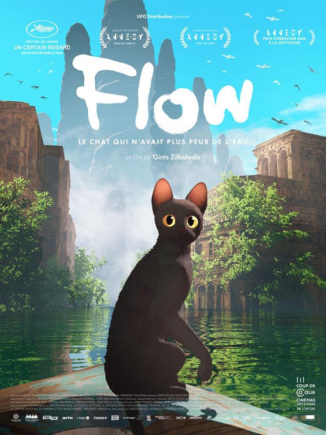 Flow film avis