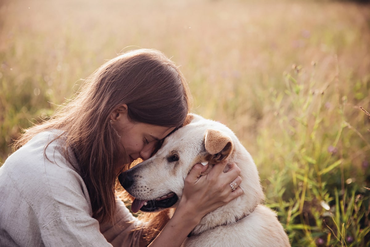 comment faire le deuil de son chien