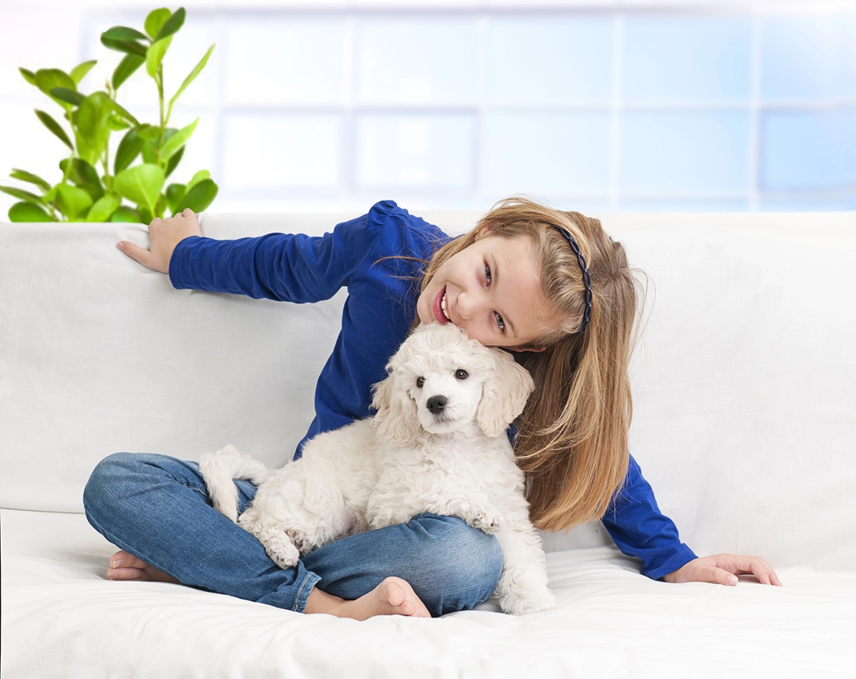 cohabitation chien enfant conseils